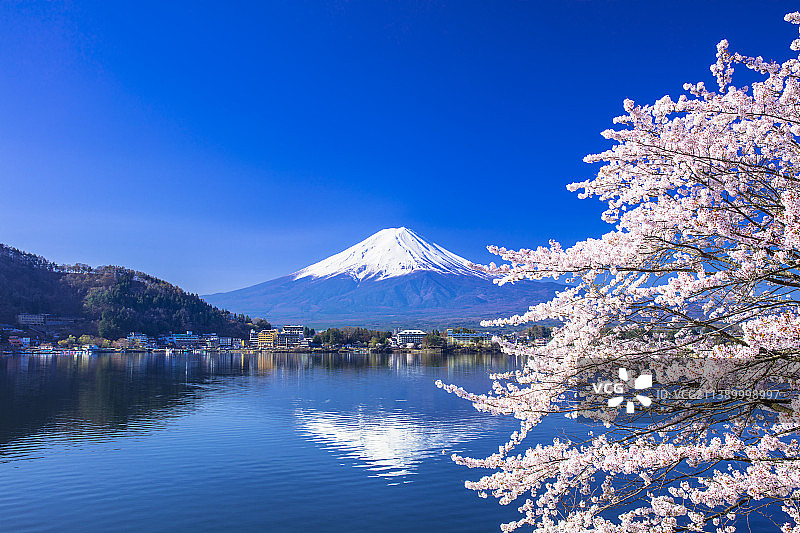 富士山与樱花，日本图片素材