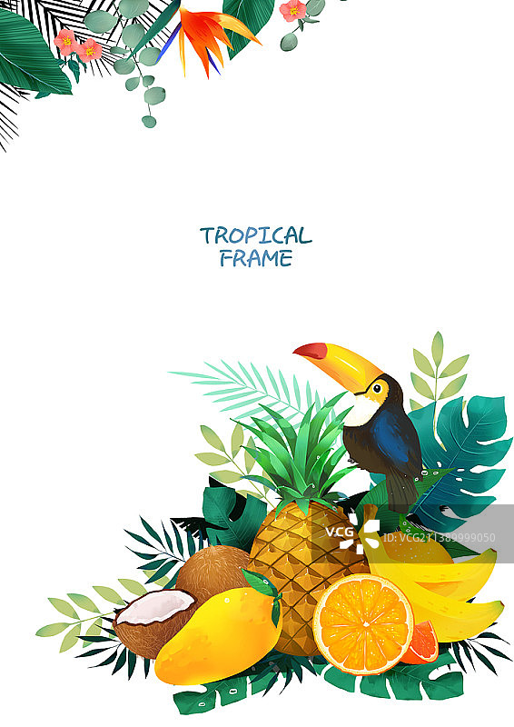 热带水果和鸟类热带边框插画图片素材