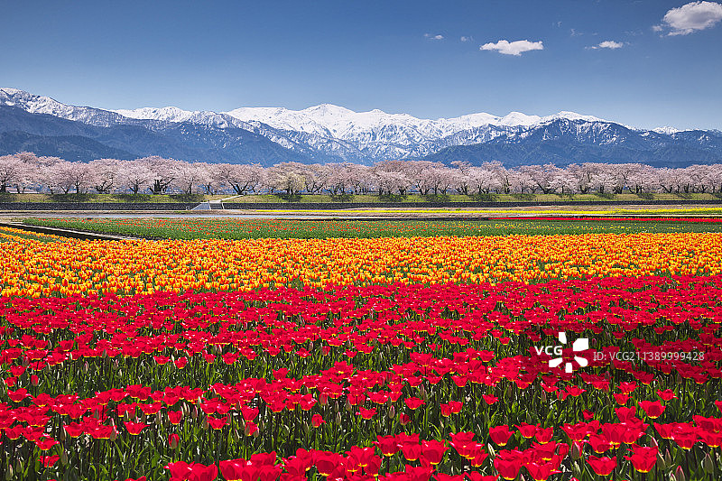 日本富山县图片素材
