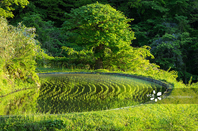 日本兵库县图片素材