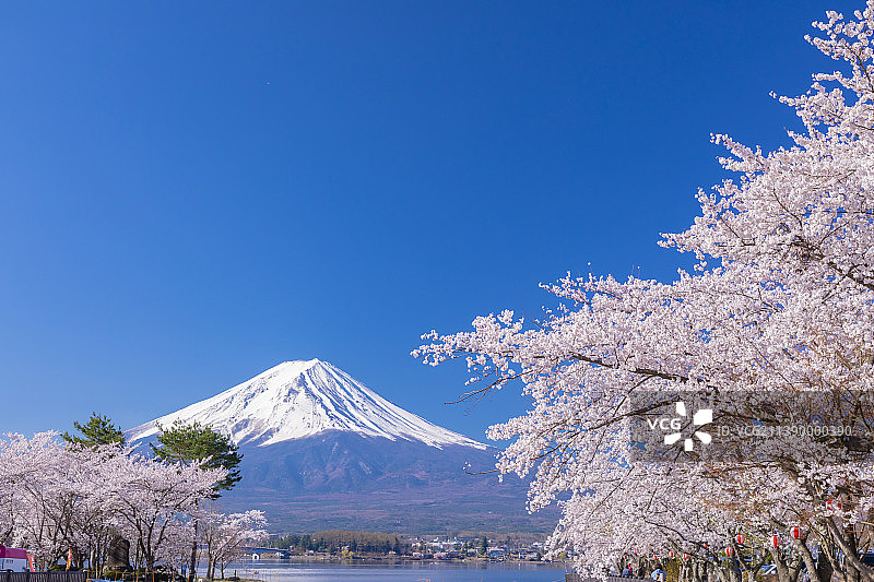 富士山与樱花，日本图片素材