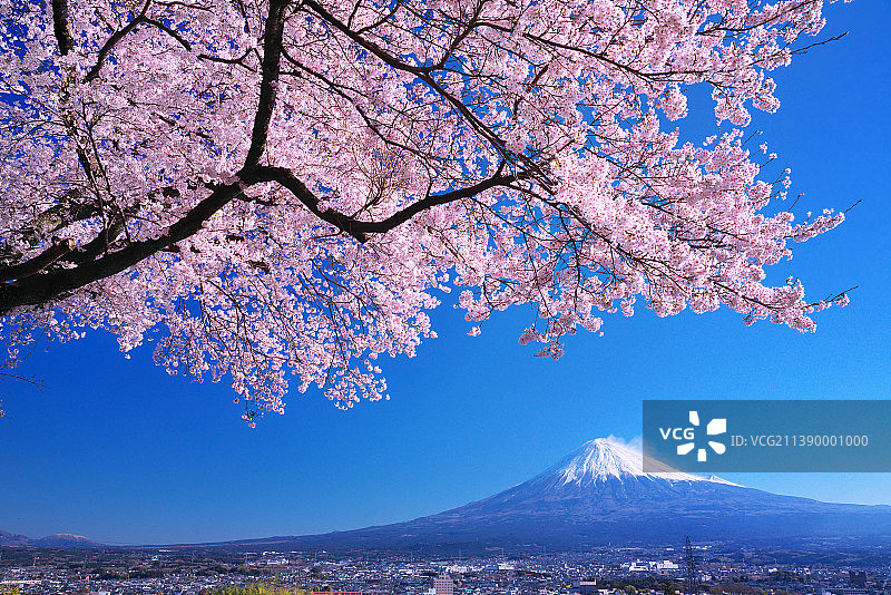 富士山与樱花，日本图片素材