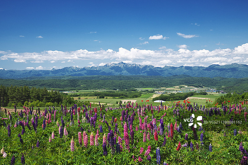 日本北海道图片素材