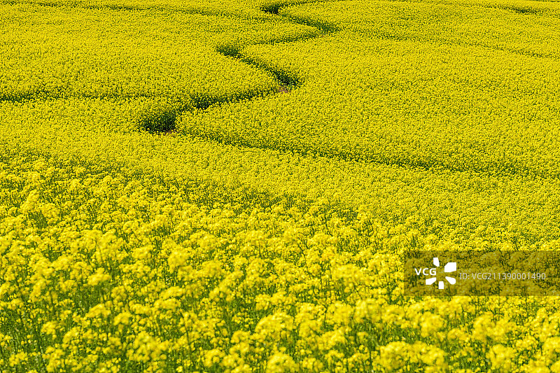 日本福岛县图片素材