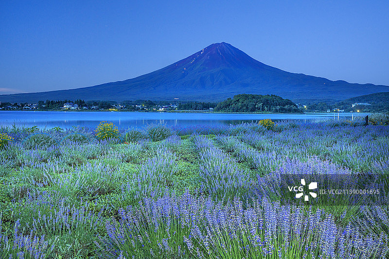 富士山，山梨县，日本图片素材