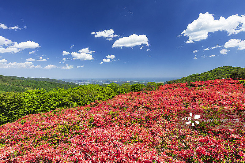 日本宫城县图片素材