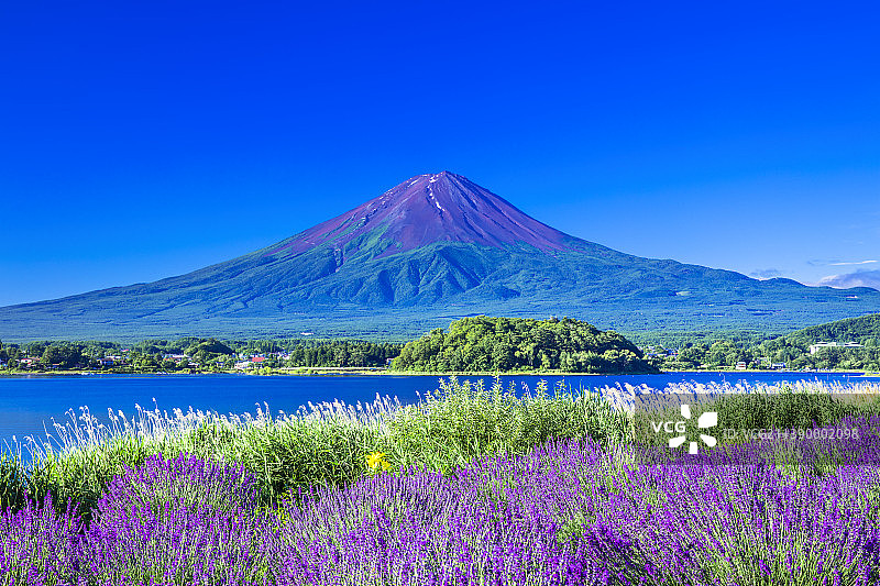 富士山，山梨县，日本图片素材