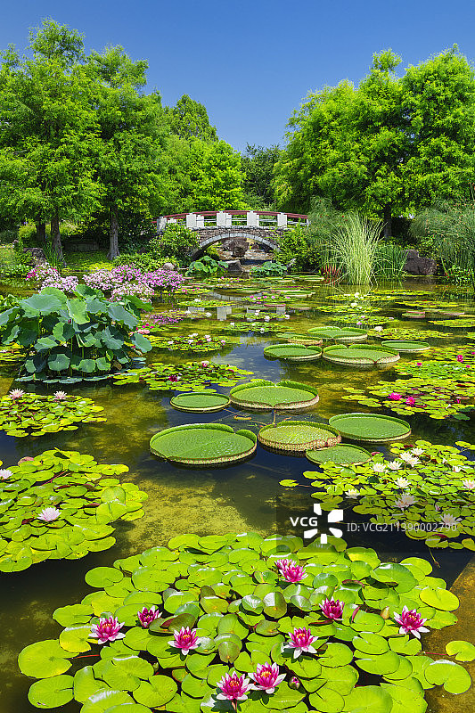 志贺县,日本图片素材