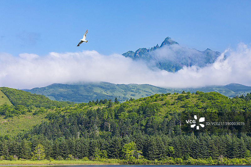 日本北海道图片素材