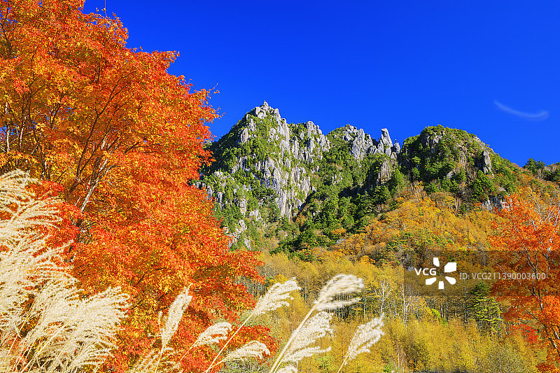 日本山梨县县图片素材