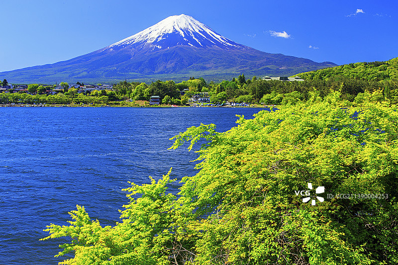 富士山，山梨县，日本图片素材