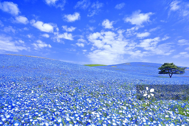 日本茨城县图片素材