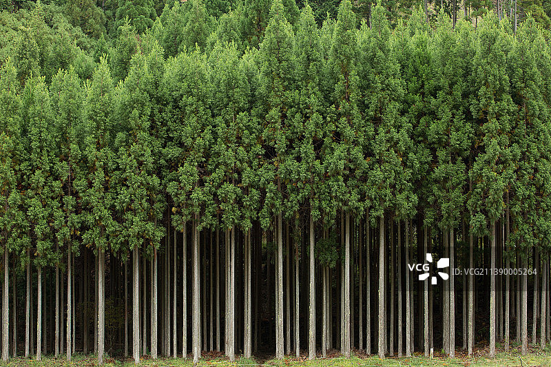 《京都议定书》,日本图片素材