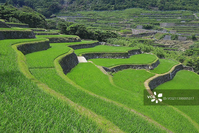 日本长崎县图片素材