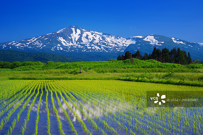 日本秋田县图片素材