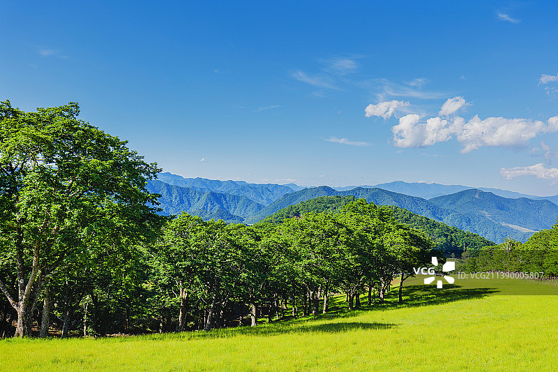 口木县,日本图片素材