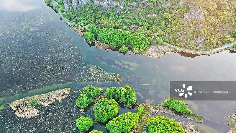春天普者黑天鹅湖图片素材