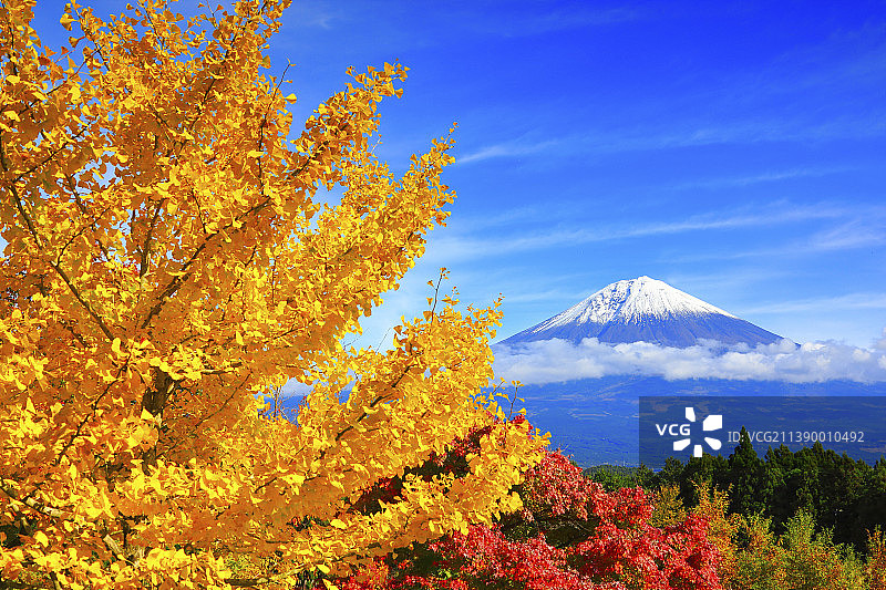日本静冈县图片素材
