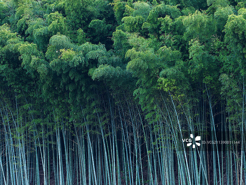 日本岛根县图片素材