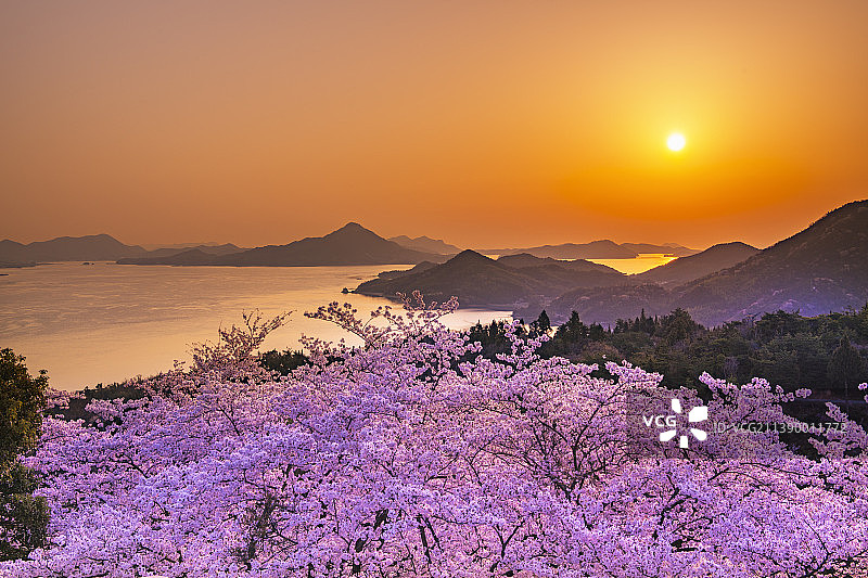 日本爱媛县图片素材
