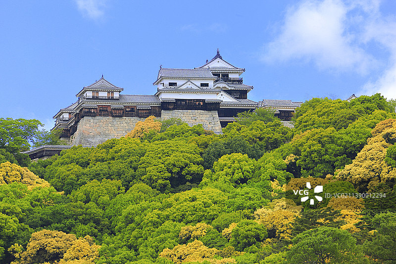 日本爱媛县图片素材