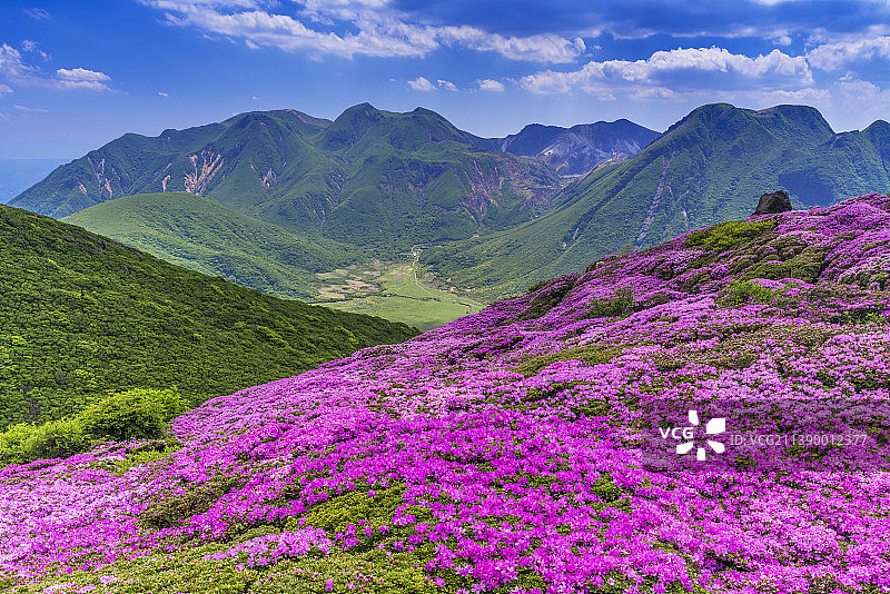 日本大分县图片素材