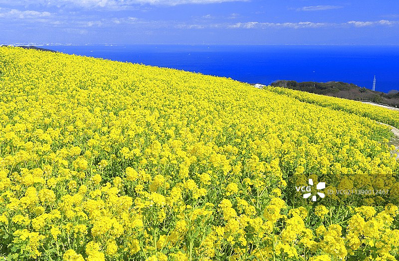 日本兵库县图片素材