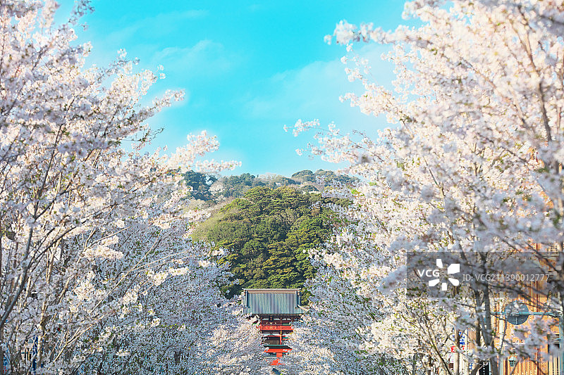 日本神奈川县图片素材