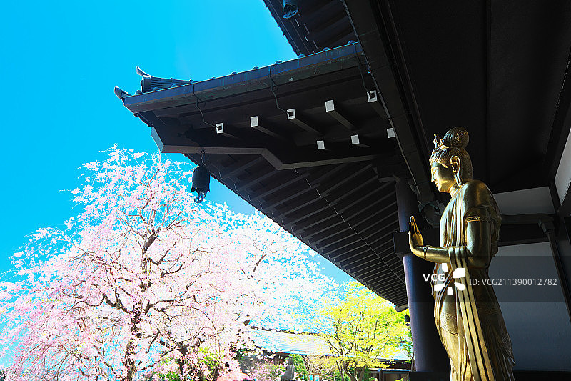 日本神奈川县图片素材