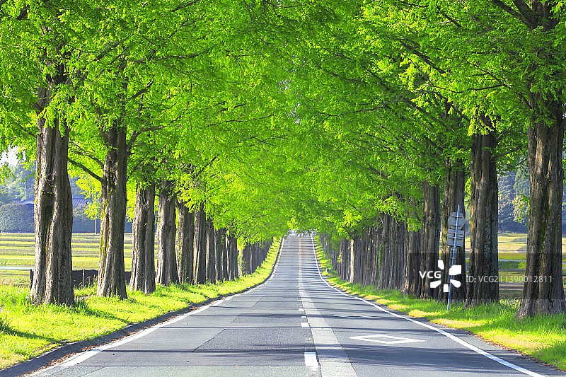 志贺县,日本图片素材