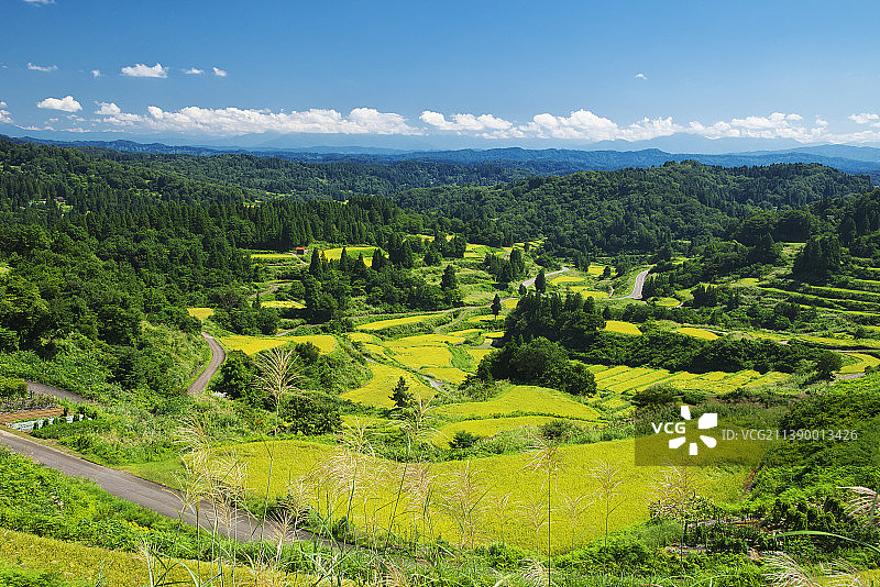 日本新泻县图片素材