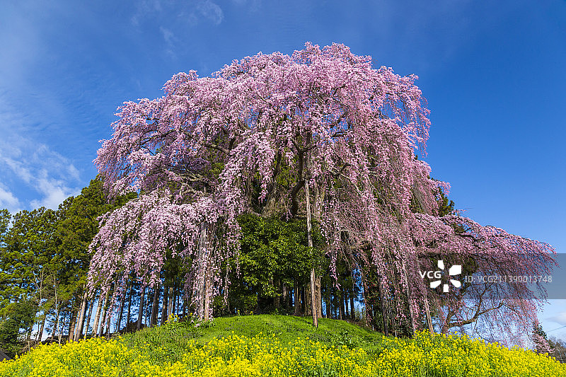 日本福岛县图片素材