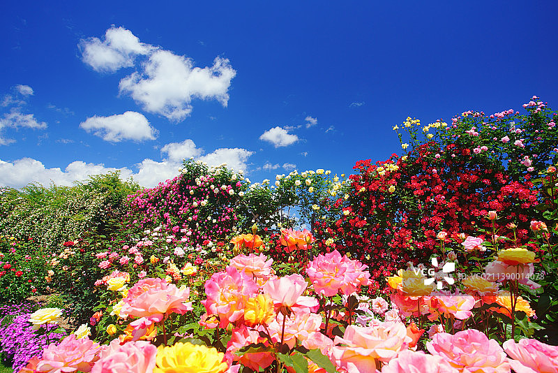 日本长野图片素材