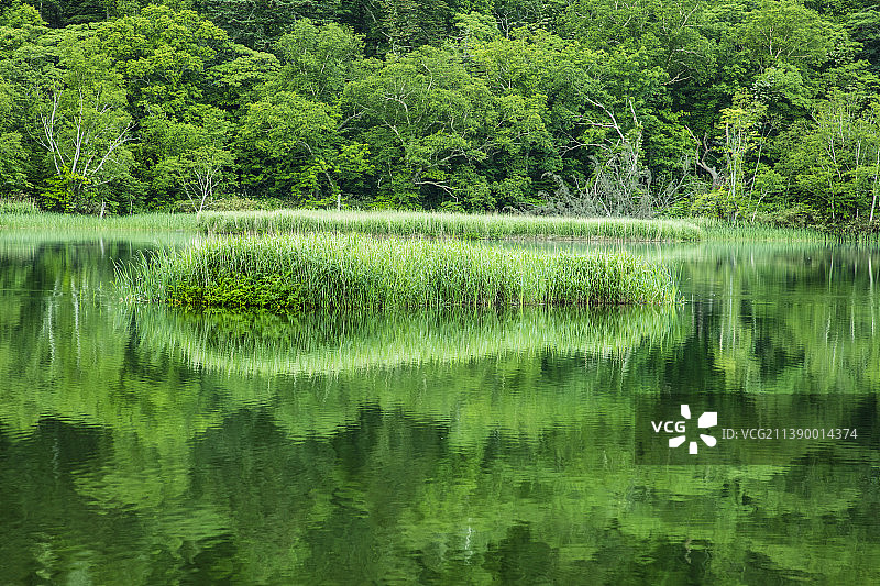 日本北海道图片素材