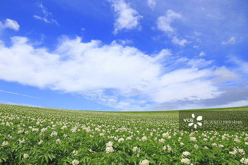 日本北海道图片素材