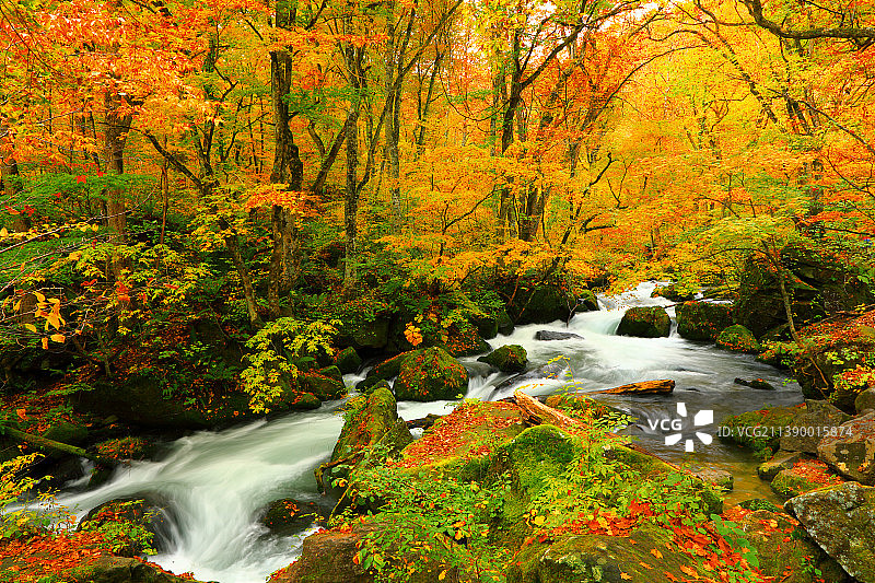 日本青森县图片素材