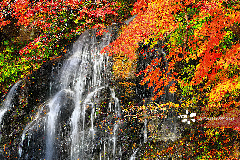 日本青森县图片素材