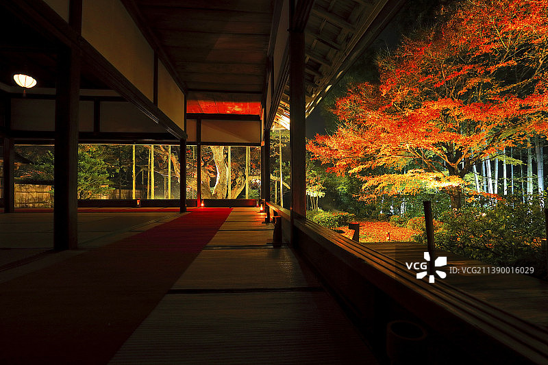 《京都议定书》,日本图片素材