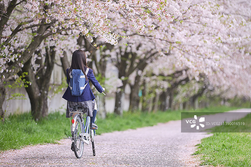 骑自行车的日本女高中生图片素材