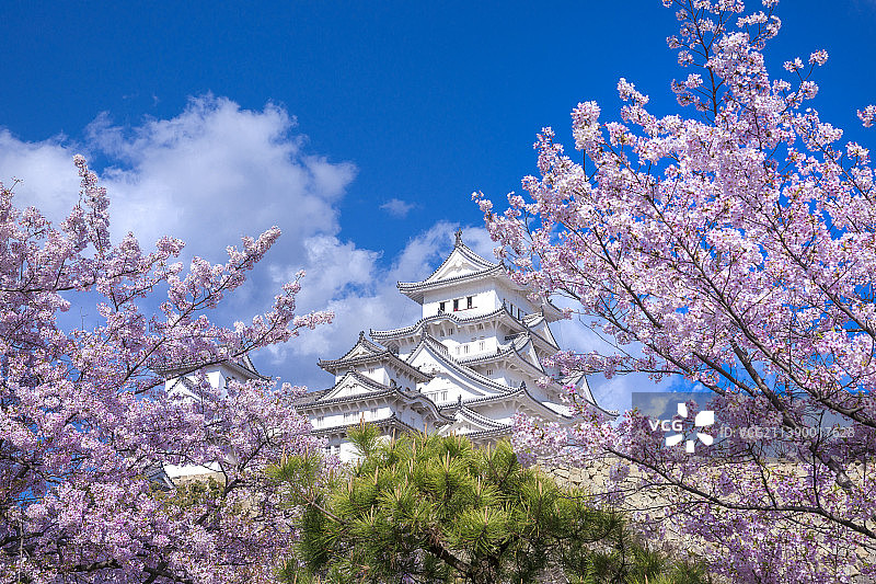 日本兵库县图片素材