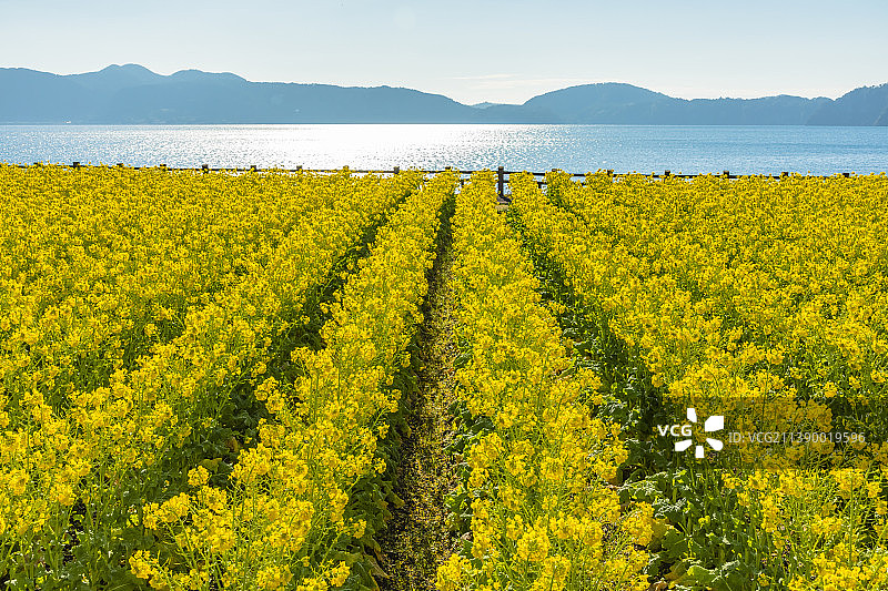 日本鹿儿岛县图片素材