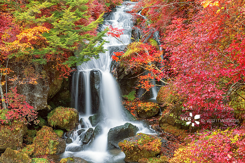 口木县,日本图片素材