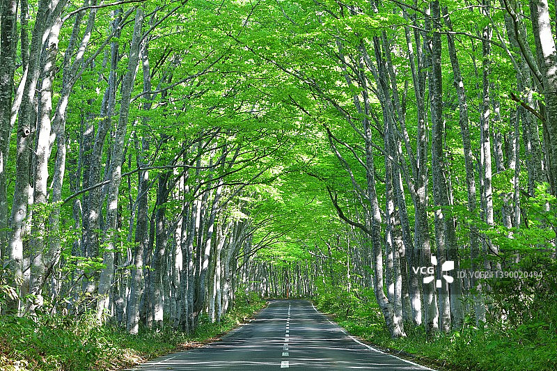日本青森县图片素材