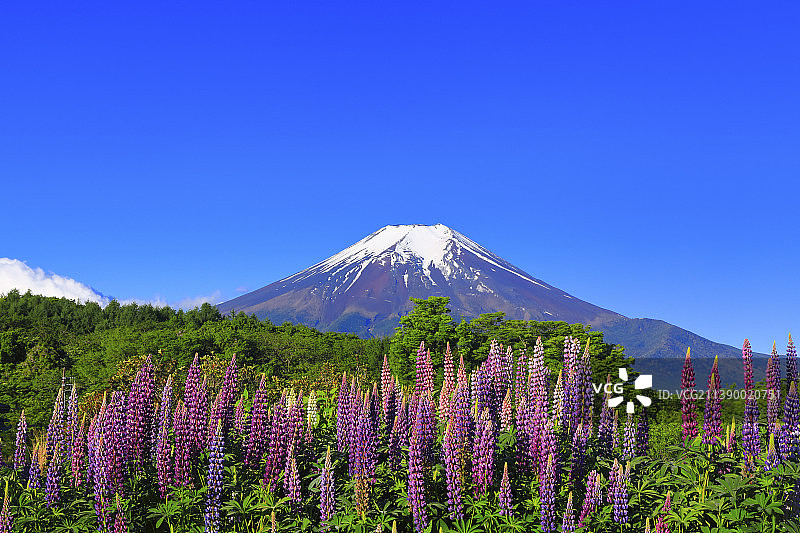日本山梨县县图片素材