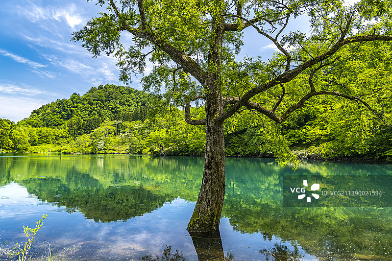 日本新泻县图片素材