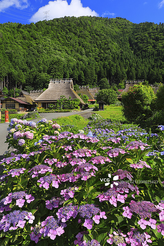 《京都议定书》,日本图片素材