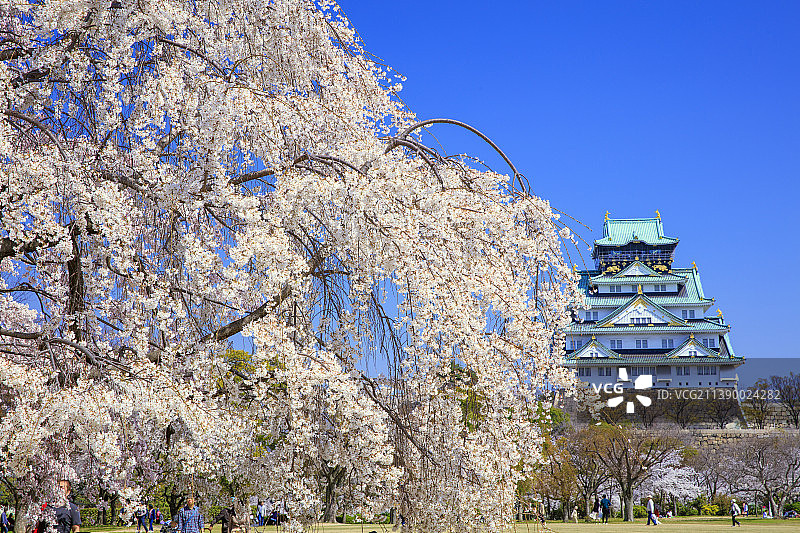 日本大阪府图片素材