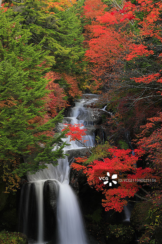 口木县,日本图片素材