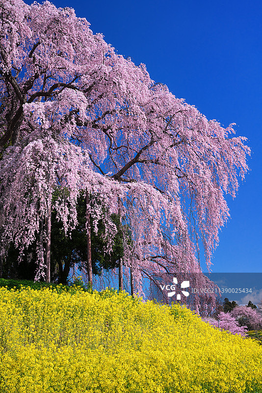 日本福岛县图片素材