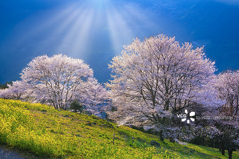日本高知县图片素材